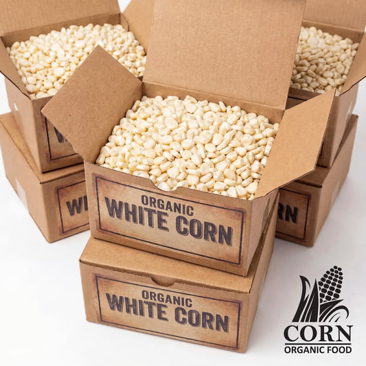 close up of USDA organic white dent corn kernels