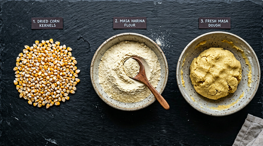 Comparison of dried corn kernels, masa harina flour, and fresh masa dough