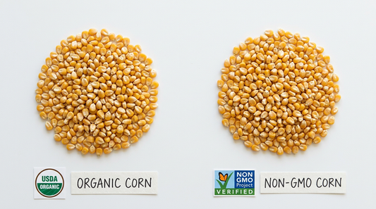 Side by side comparison of USDA Organic corn and Non-GMO certified corn