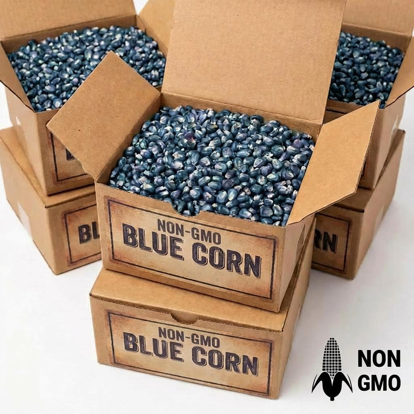 Dried Blue Corn - NON-GMO