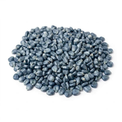 contents of USDA organic blue corn nixtamal starter kit showing corn kernels and cal packet