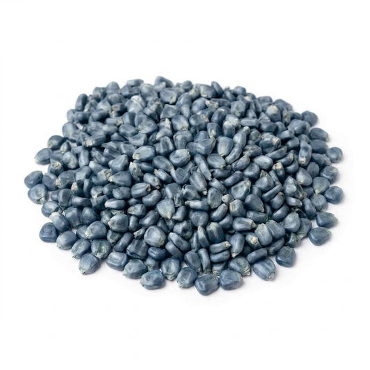 contents of USDA organic blue corn nixtamal starter kit showing corn kernels and cal packet