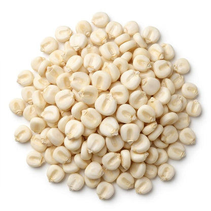 non-GMO white corn wholesale bulk bag for tortilla manufacturers