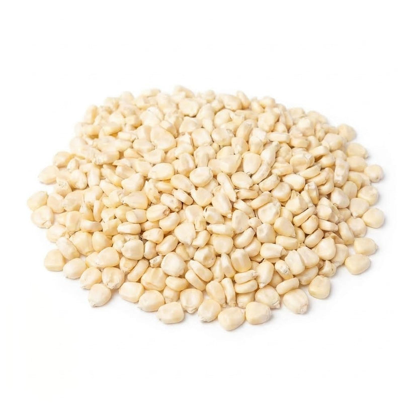 USDA organic white corn wholesale bulk bag for tortilla manufacturers