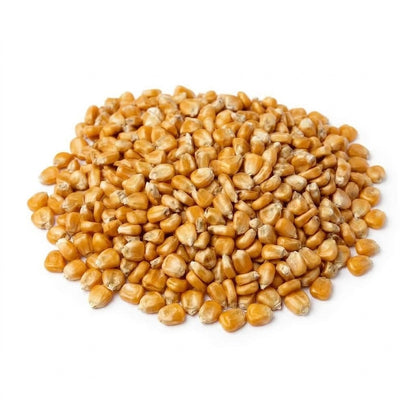 USDA organic yellow corn wholesale bulk bag for tortilla manufacturers
