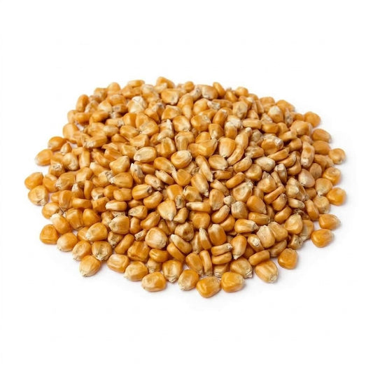 USDA organic yellow corn wholesale bulk bag for tortilla manufacturers